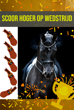 Online Paarden Instructie - scoor hoger op wedstrijd